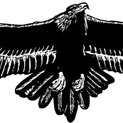 EAGLE010 Thumbnail