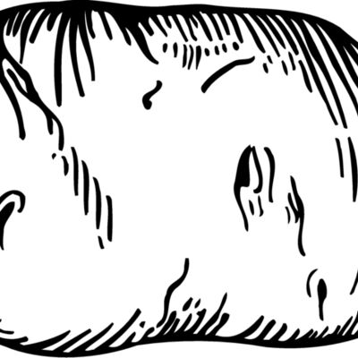 VEG019 Thumbnail